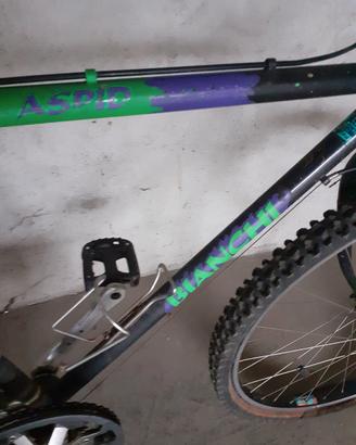 mtb BIANCHI ASPID 