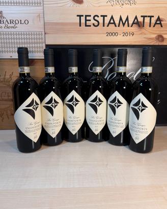 Colle Massari Brunello Ugolforte 2017 6x0,75L