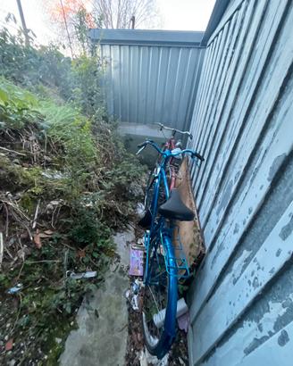 Bici usate