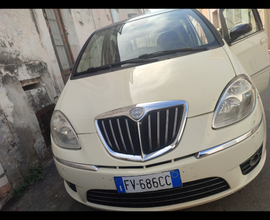 Lancia musa