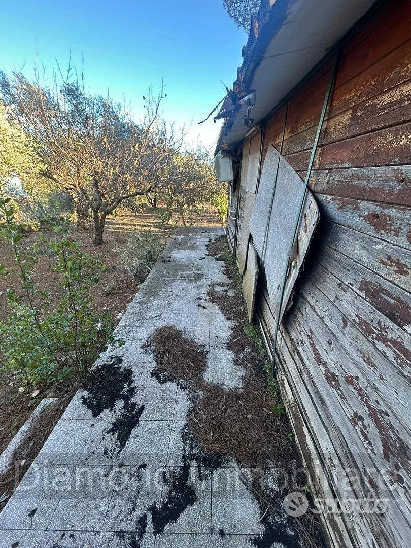 Terreno agricolo con casotto Fleri-Zafferana Etnea - Vista 5