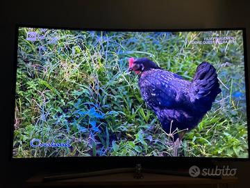 Tv samsung 55 pollici
