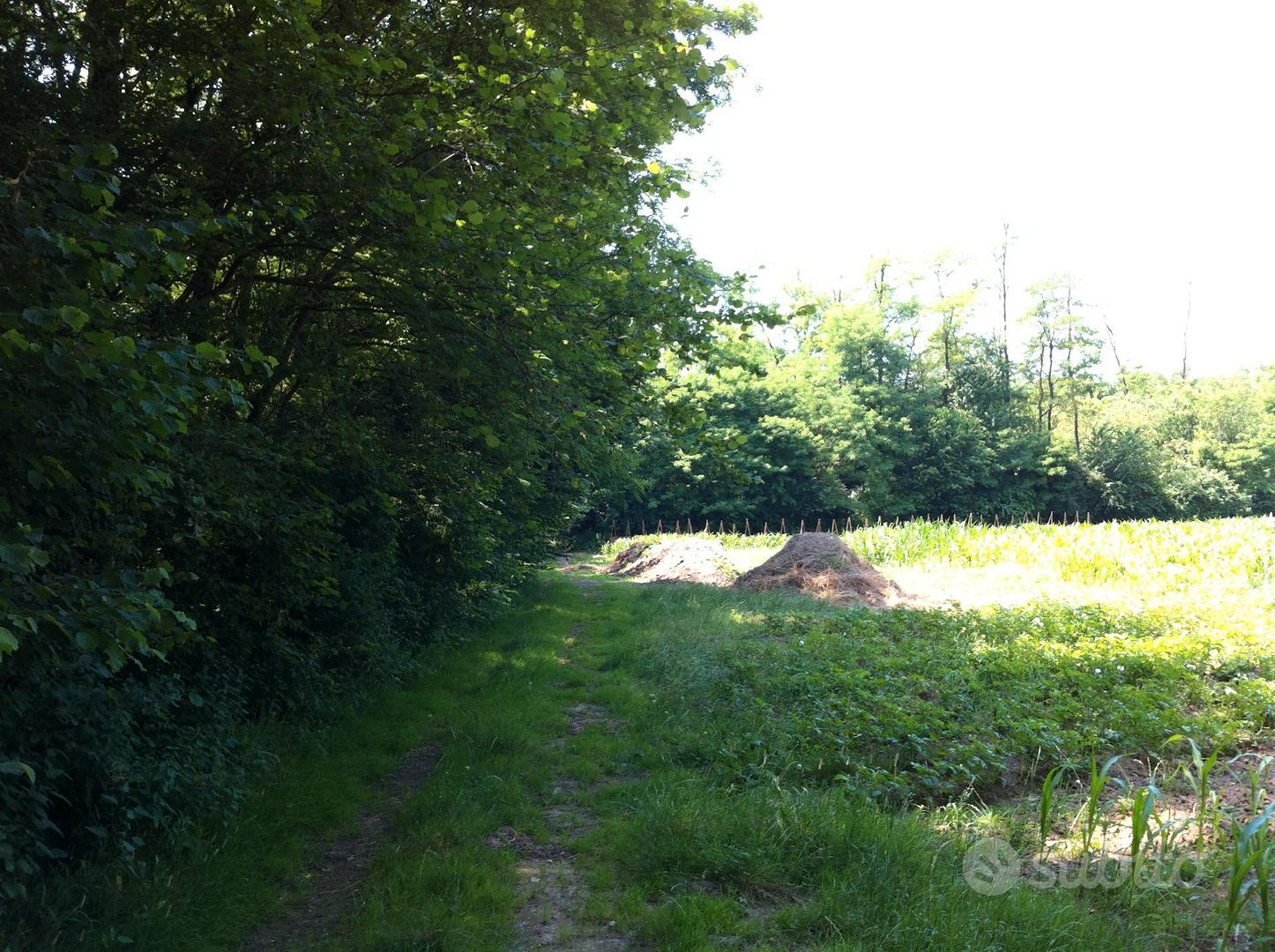 Terreno agricolo 9.000 mq - View 3