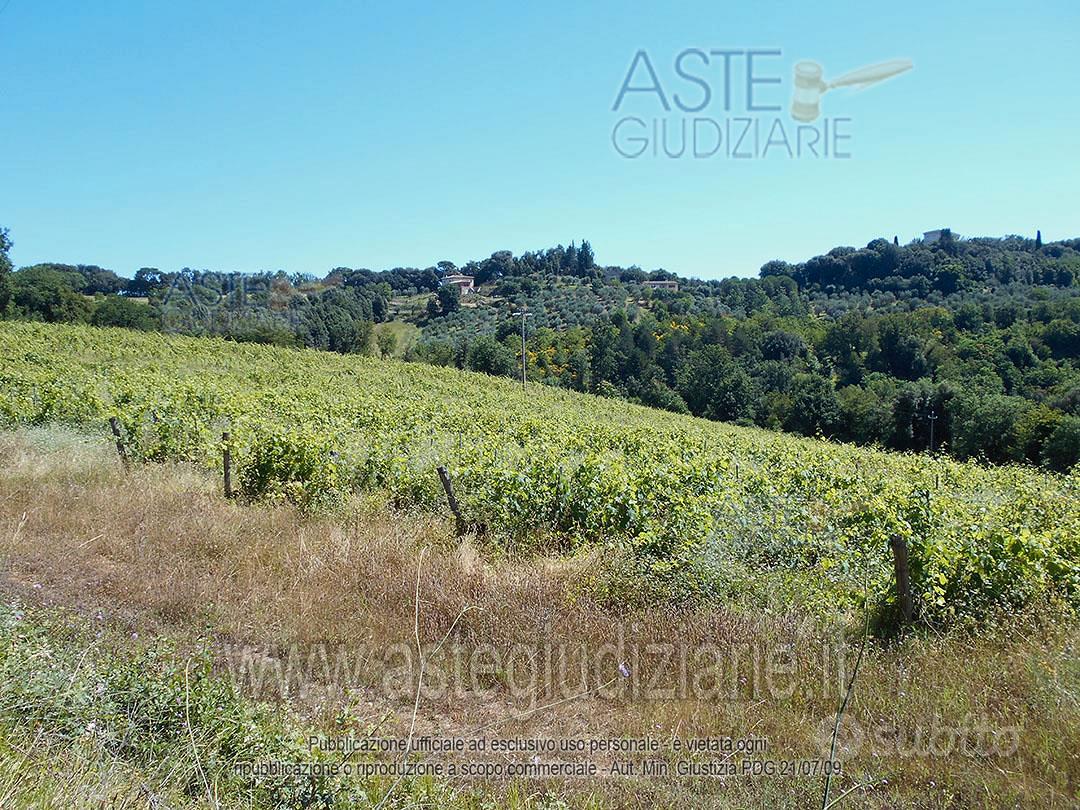 Terreno Agricolo Siena [A4352465] - Altro