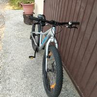 bicicletta trec 