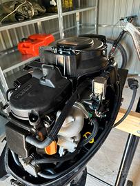 Motore fuoribordo 20 cv