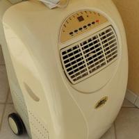 Climatizzatore portatile