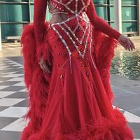 Meraviglioso abito per danze standard