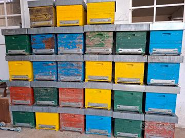 Apicoltura - arnie a cubo