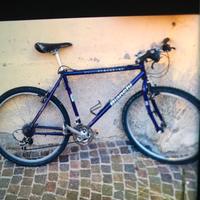 Bici usata