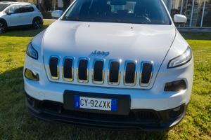 Jeep Cherokee 2.0 Mjt II 4WD Longitude