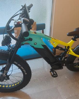 RV 800 e-MTB 