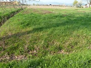 Terreno di 750 m² a Porcari