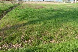 Terreno di 750 m² a Porcari