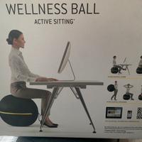 Wellness ball tecnhogym