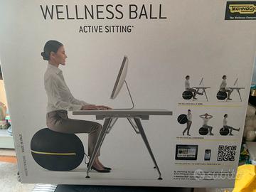 Wellness ball tecnhogym