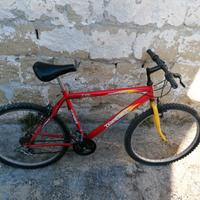 Bicicletta Top Bike 