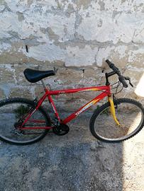 Bicicletta Top Bike 