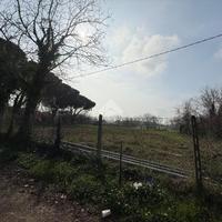 TER. AGRICOLO A RICCIONE