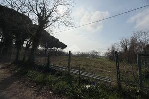 TER. AGRICOLO A RICCIONE