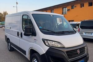 0701 FURGONE FIAT DUCATO 2020