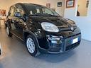 fiat-panda-1-0-firefly-s-s-hybrid-new-panda-disp