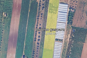 Terreno Agricolo Ciavolo
