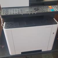 Kyocera Ecosys M5521cdn 2 MESI VITA MA PROBLEMA