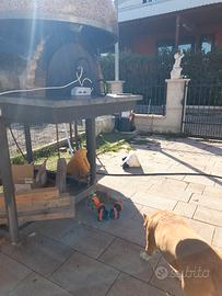 ruote per mobili  o carrello 