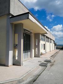 Capannone Locale Commerciale 