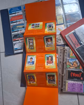 Schede telefoniche