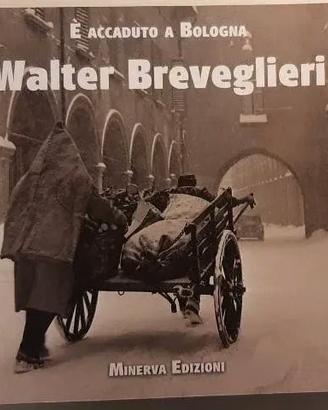 Volume fotografico - E' accaduto a Bologna