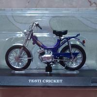 testi cricket 1:18