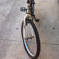 Mountain  Bike