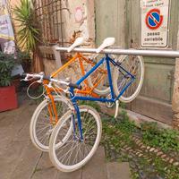 bicicletta da passeggio