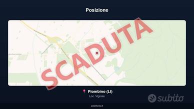 Immobile in asta di 300 m² con più di 5 locali a P