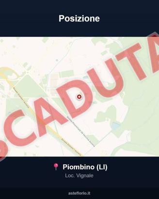 Immobile in asta di 300 m² con più di 5 locali a P