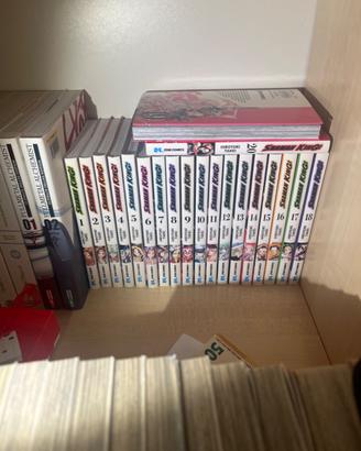 Shaman king