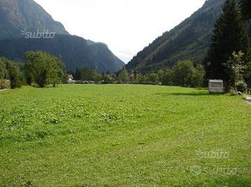 Terreni in Località Coetta. Campodolcino (SO)