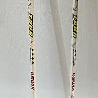 Bastoncini Sci da Fondo