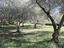 Immagine 12