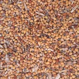 TRIFOGLIO SACROMONTE CON 20% LATTUGHINO