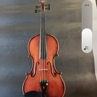 violino