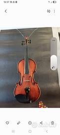 violino
