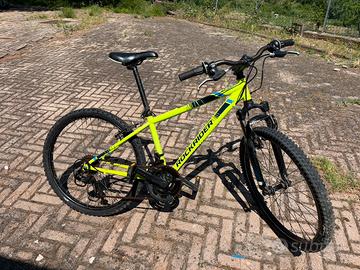 Bici ragazzo da 24