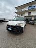 fiat-doblo-