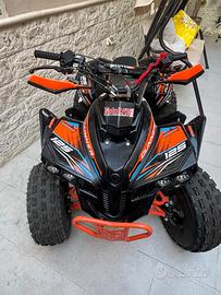 Altro Altro modello - 2024