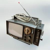 Sony micro TV 5-303E con radio.