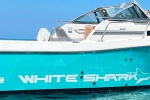 WHITE SHARK 216 (da motorizzare)