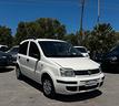 fiat-panda-1-1-actual